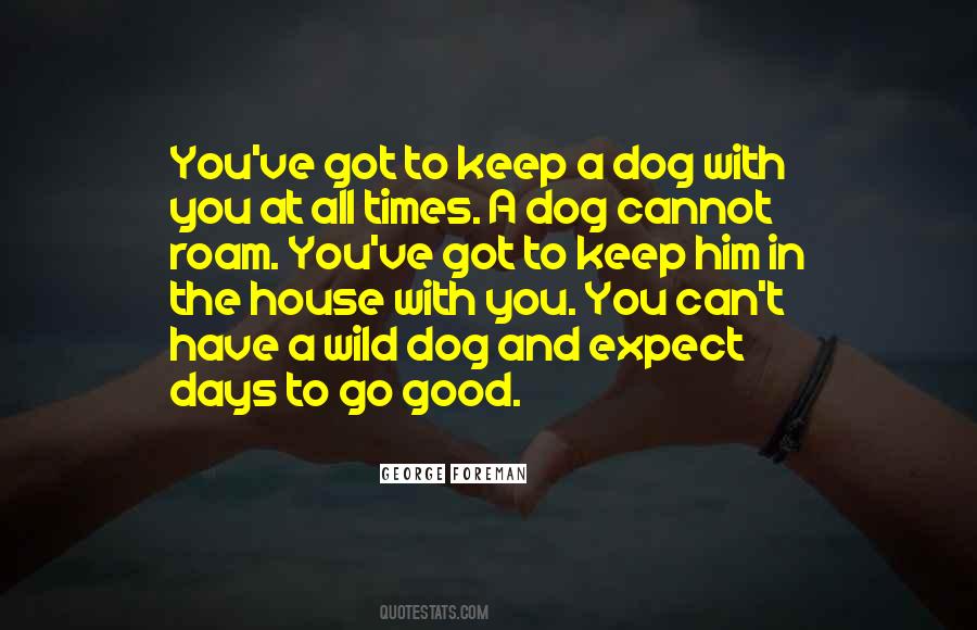 Quotes About The Dog Days #188346