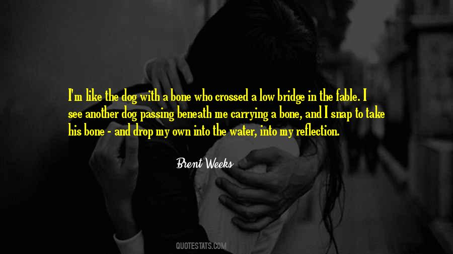 Quotes About Too Much Water Under The Bridge #1076890