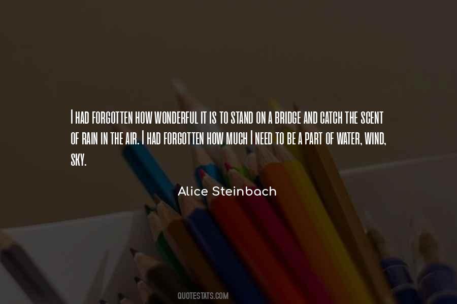 Quotes About Too Much Water Under The Bridge #1138059