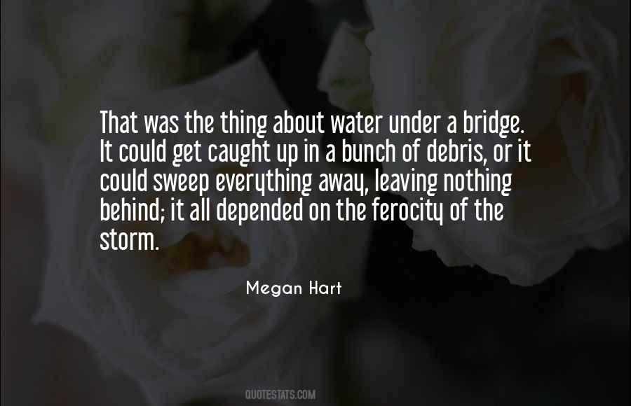 Quotes About Too Much Water Under The Bridge #1584411