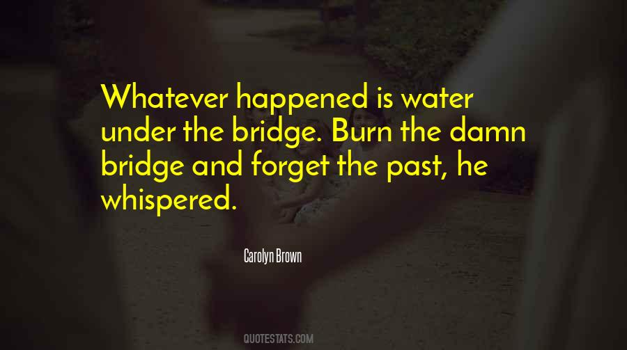 Quotes About Too Much Water Under The Bridge #741066