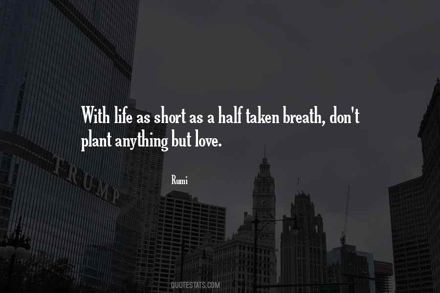 Quotes About Love And Life Short #1392762