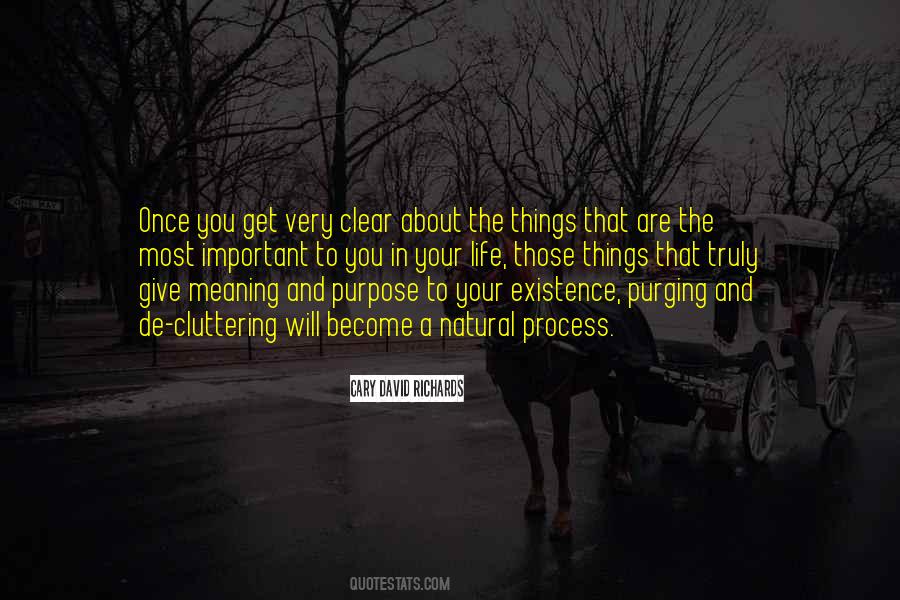 Quotes About Meaning And Purpose In Life #39011