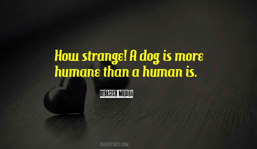 Quotes About Strange Love #256681