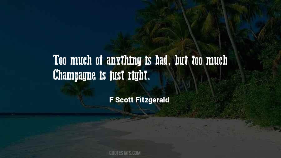 Quotes About Too Much Of Anything Is Bad #670809