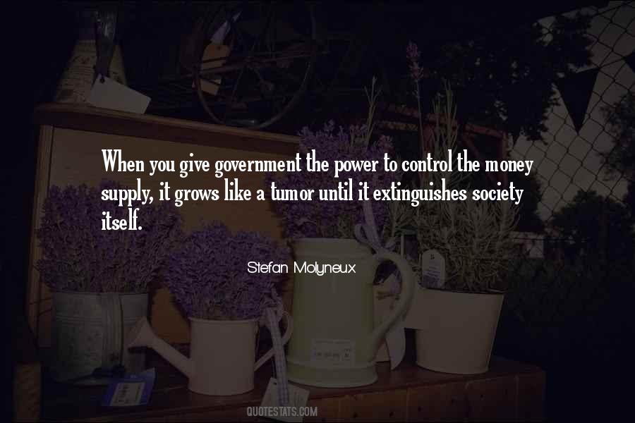 Quotes About Too Much Government Control #51096