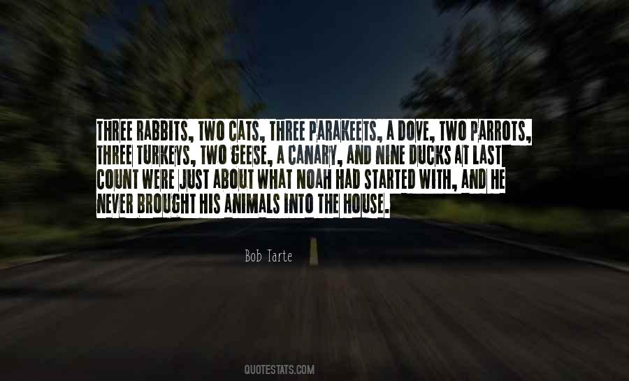 Quotes About House Cats #1216907