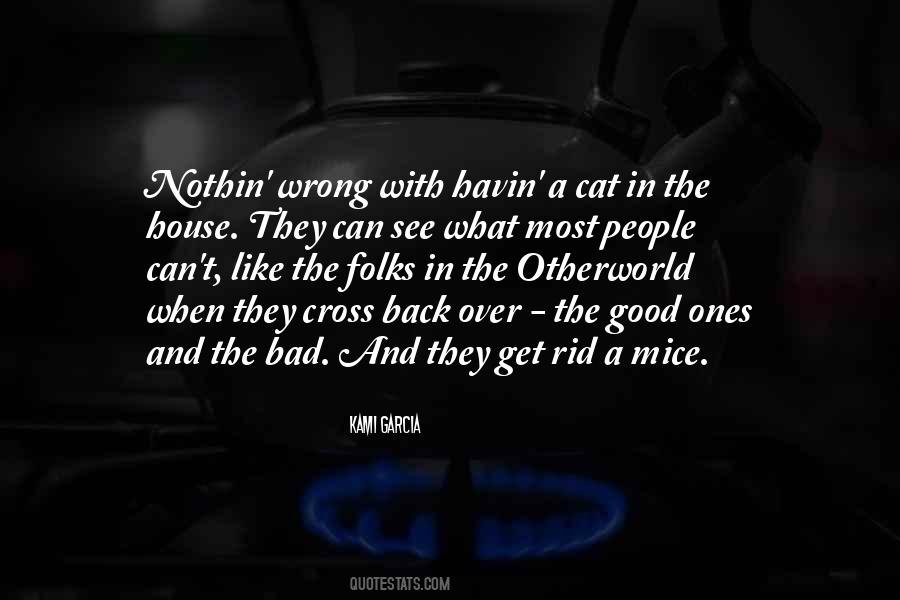 Quotes About House Cats #202677