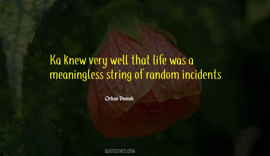 Quotes About Incidents #255470
