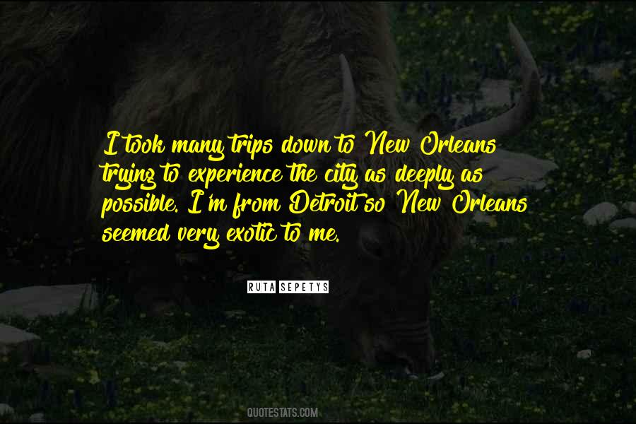 Quotes About New Orleans #1405626