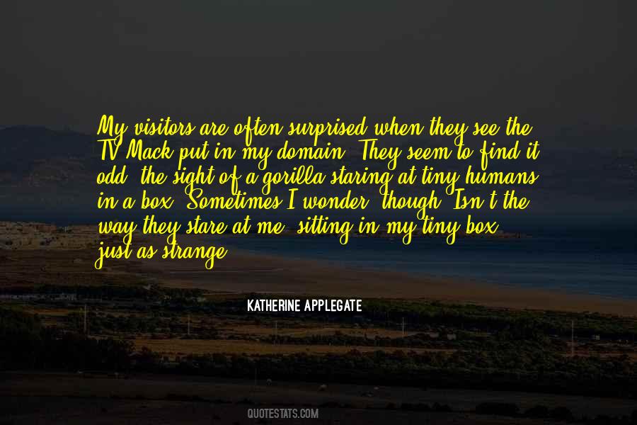 Quotes About Stare At Me #607622