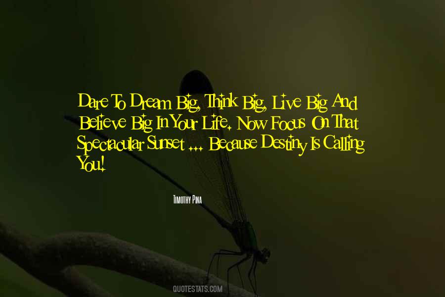 Quotes About Your Life Calling #443673