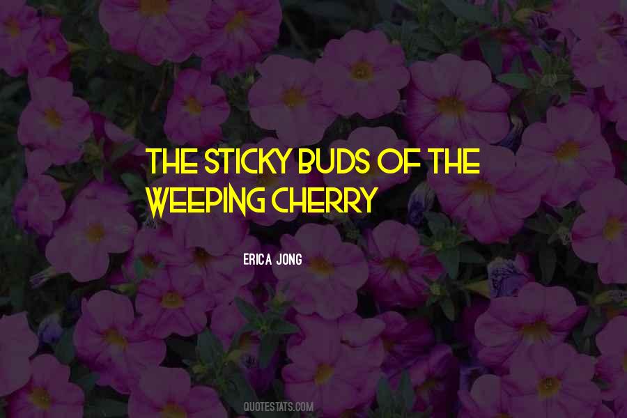 Quotes About Cherry #1244104