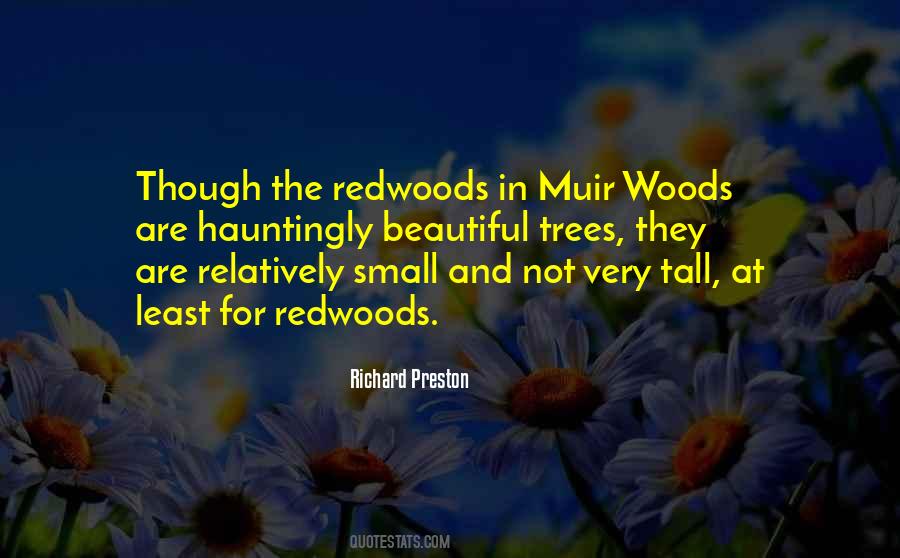 Quotes About The Redwoods #1129051