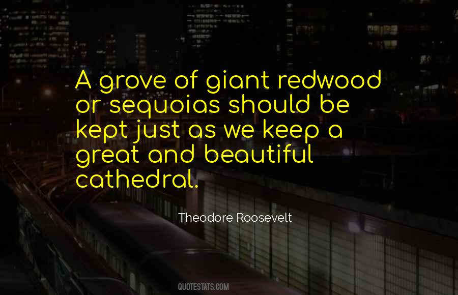 Quotes About The Redwoods #124081