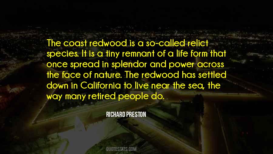 Quotes About The Redwoods #874437