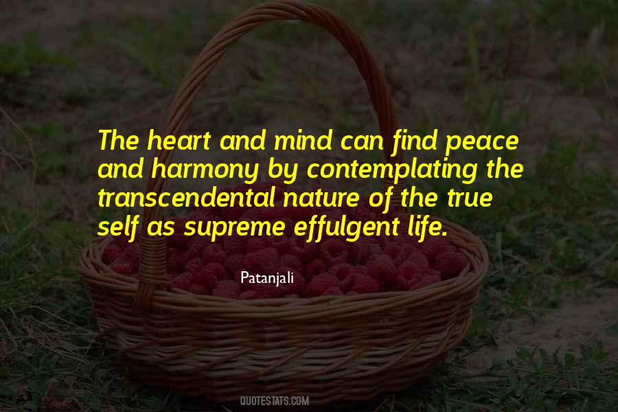 Find Peace Quotes #1132492