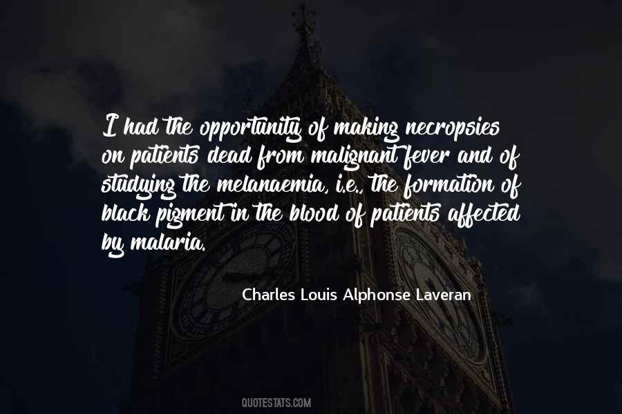 In The Blood Quotes #1180205