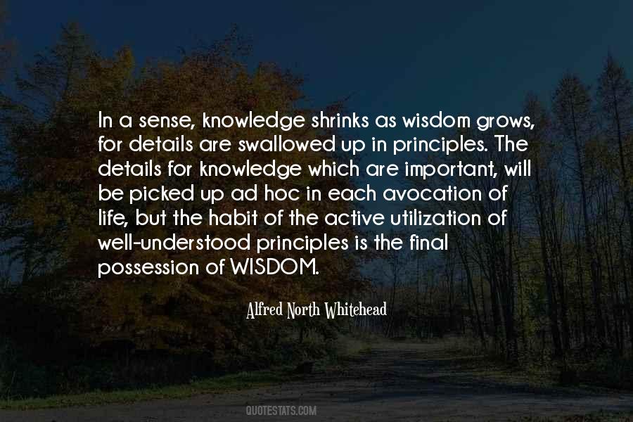 Quotes About Principles In Life #972005