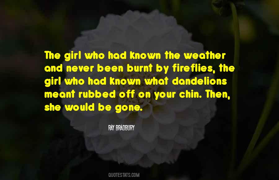 Quotes About Fireflies #898548