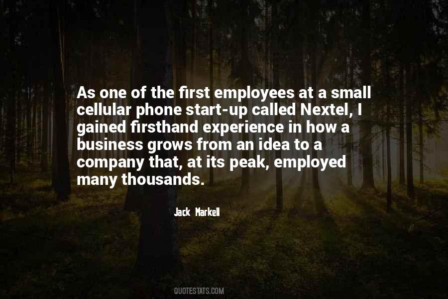 Quotes About Experience In Business #927369
