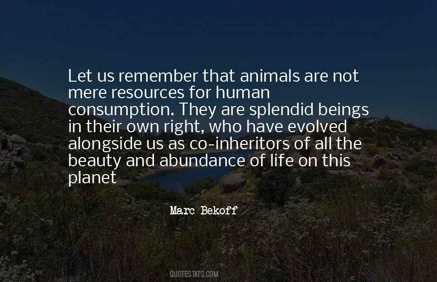 Quotes About Compassion For Animals #1095198