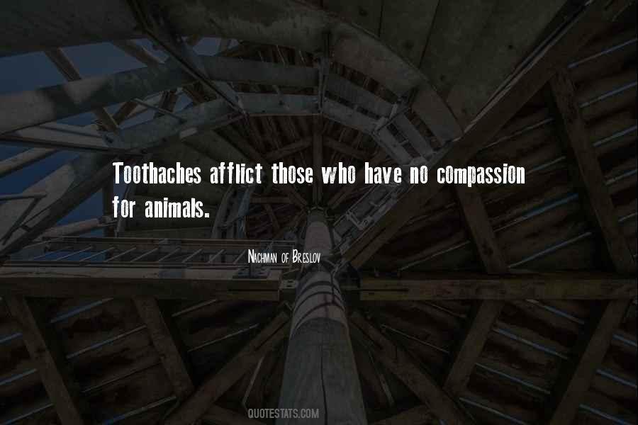 Quotes About Compassion For Animals #226048