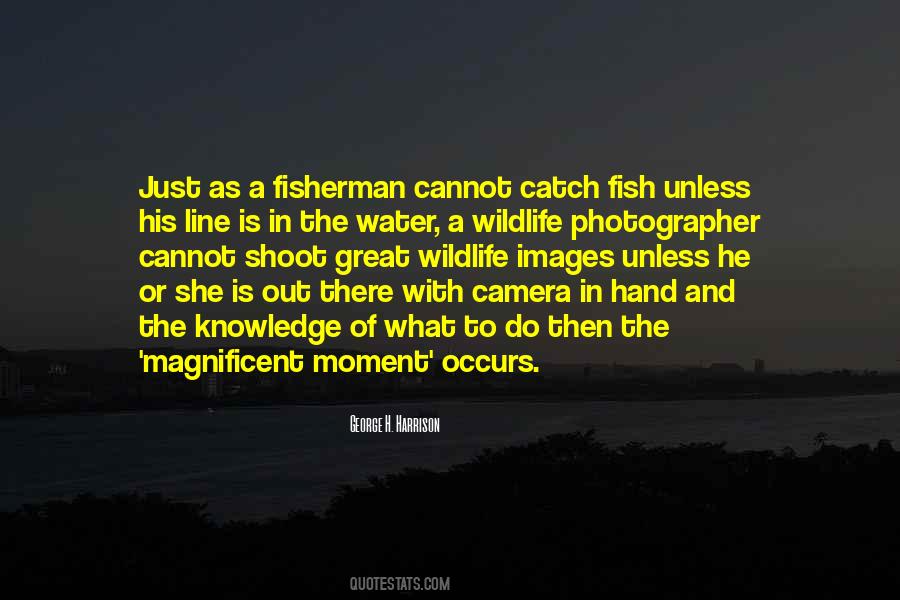 Catch A Fish Quotes #1599564