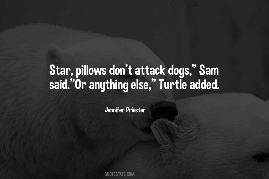 Quotes About Pillows #181719