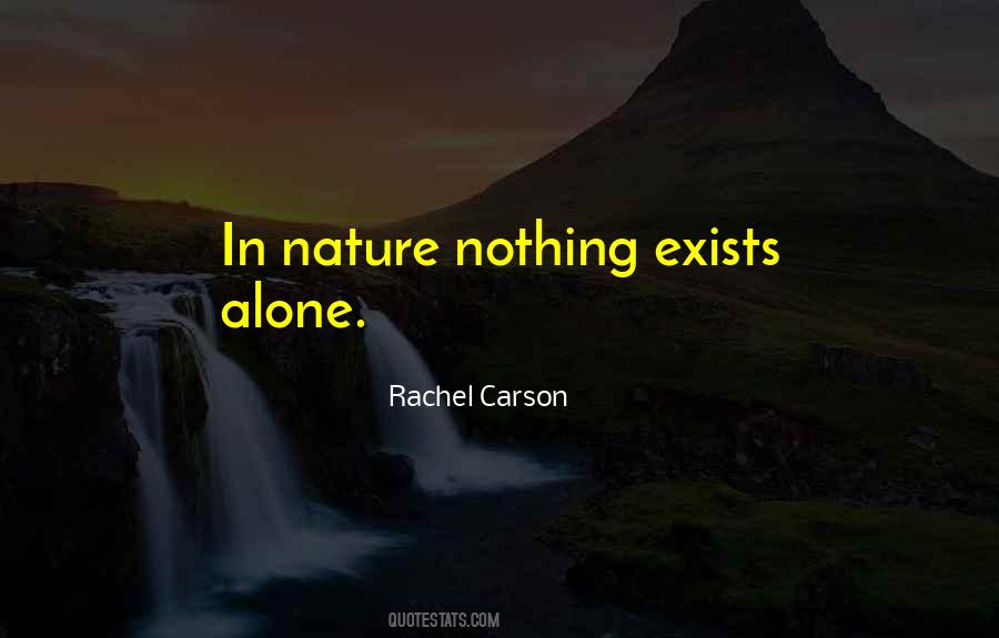 Nothing Exists Quotes #154480