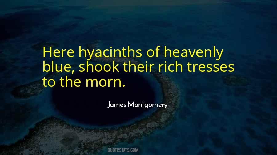 Montgomery James Quotes #725980