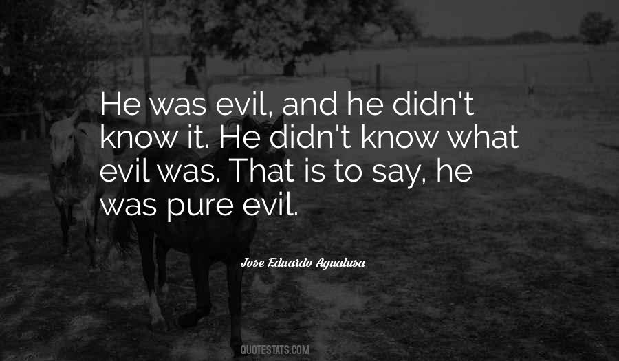 Quotes About Pure Evil #1681502