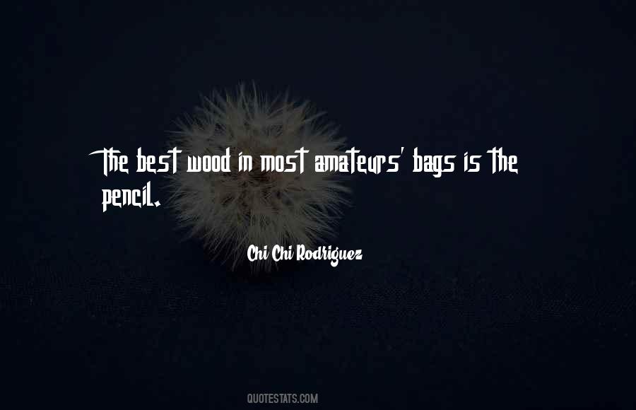 Quotes About Bags #1198345