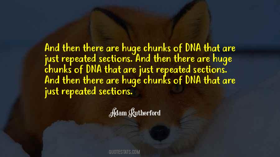 Quotes About Sections #743429