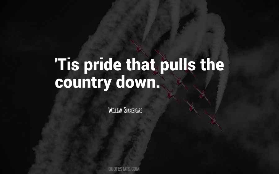 Quotes About Pride In Your Country #212181