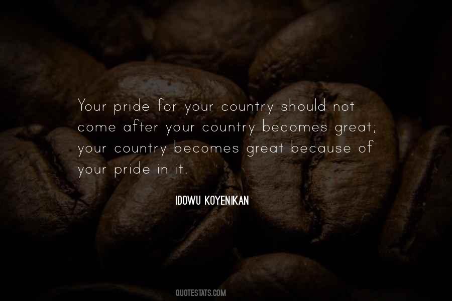 Quotes About Pride In Your Country #733953