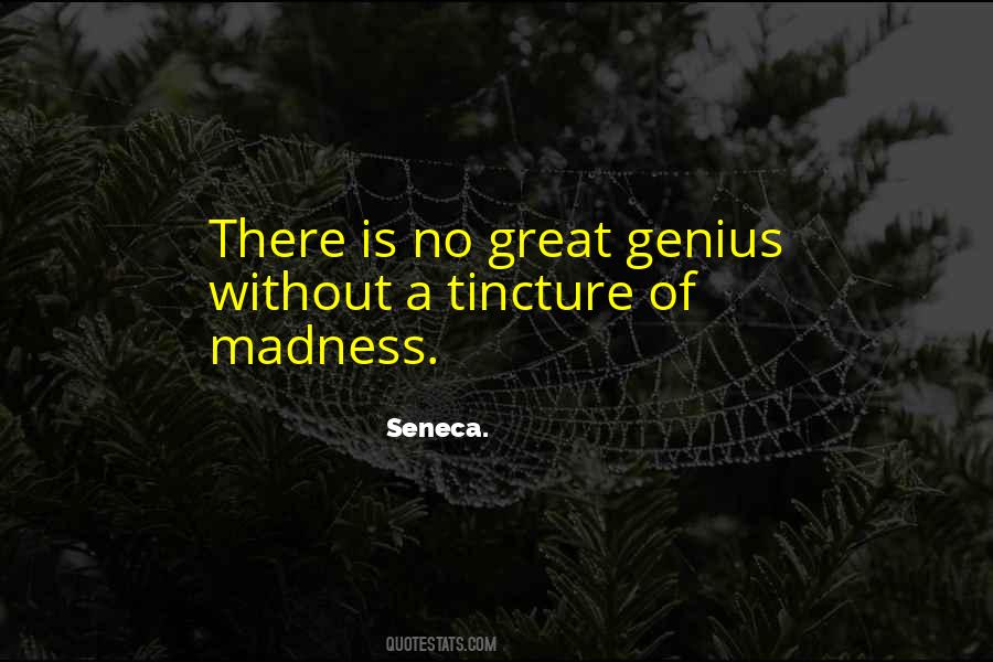 Quotes About Madness And Genius #1284063