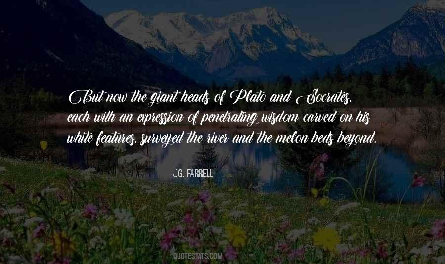 Quotes About Features #82177 Quotes About Features #82177