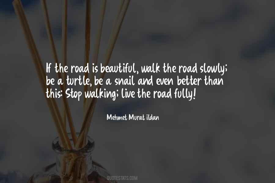 Walking Road Quotes #948068