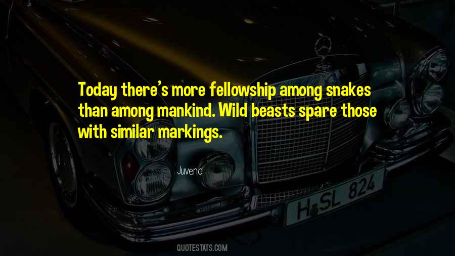 Quotes About Wild Beasts #39299