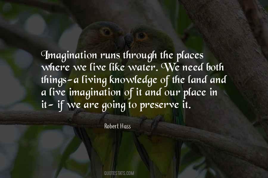 Quotes About Imagination And Knowledge #115083