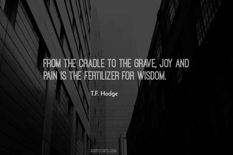 Quotes About Joy And Pain #1301277