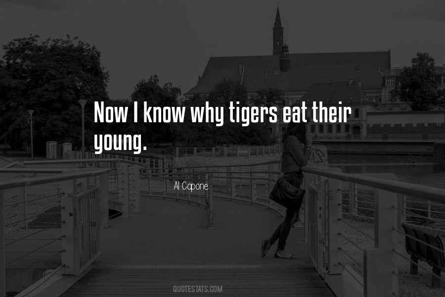 Quotes About Tigers #369108