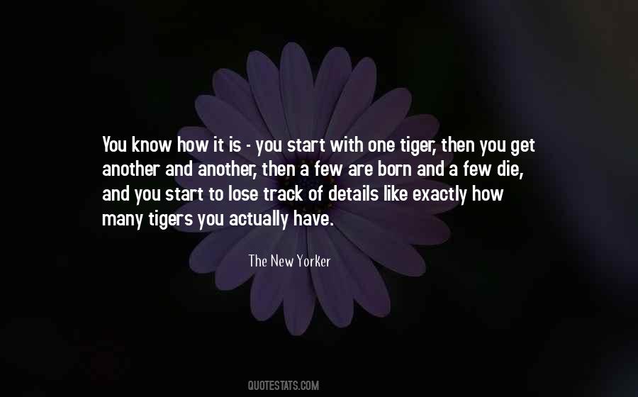 Quotes About Tigers #794026