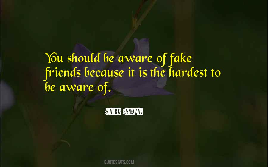 Quotes About Fake Friends #194822