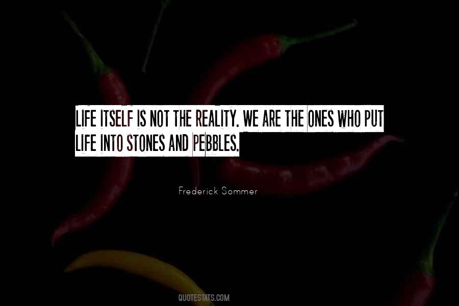 Quotes About Stones And Pebbles #1644132