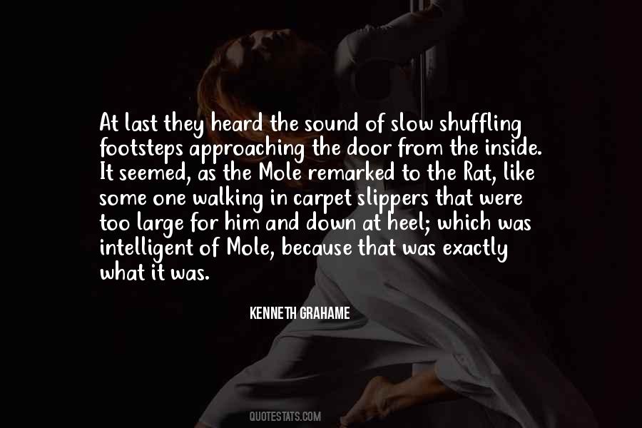 Walking In Footsteps Quotes #51628