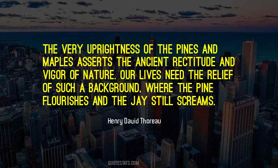 Henry David Quotes #10792