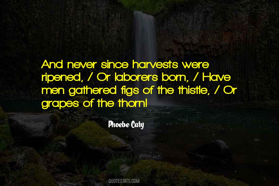 Harvest Were Quotes #339555