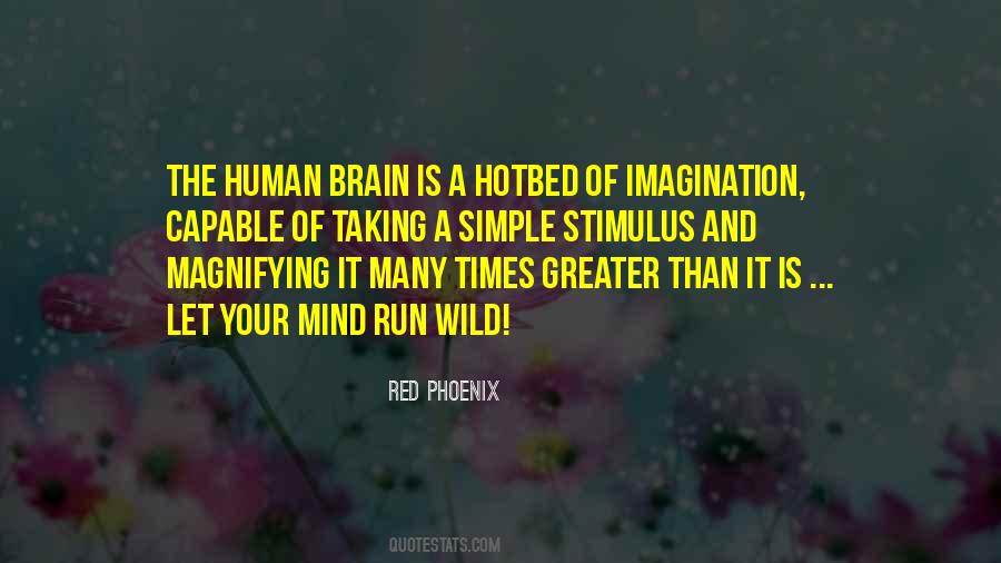 Human Imagination Quotes #133801